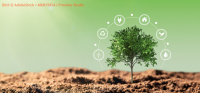 Nachhaltigkeitstransformation als Zukunftsstrategie: Die neue CSRD-Regulatorik als Chance nutzen